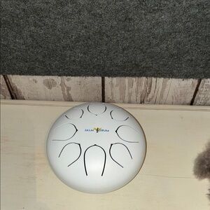 Jalm Drum steel tongue percussion instrument for meditation, sound healing.